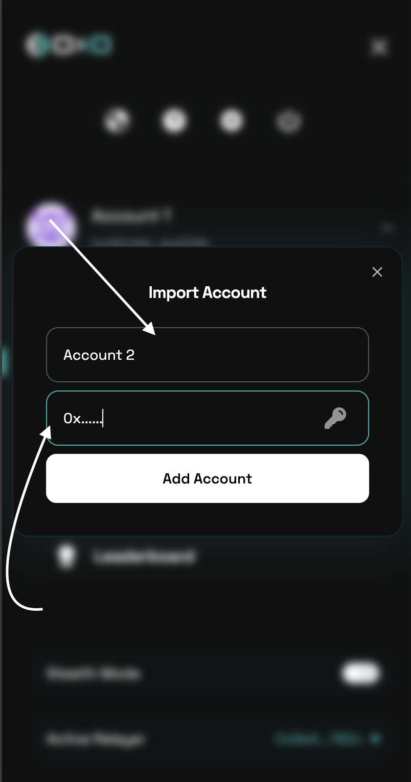 Import Wallet Example