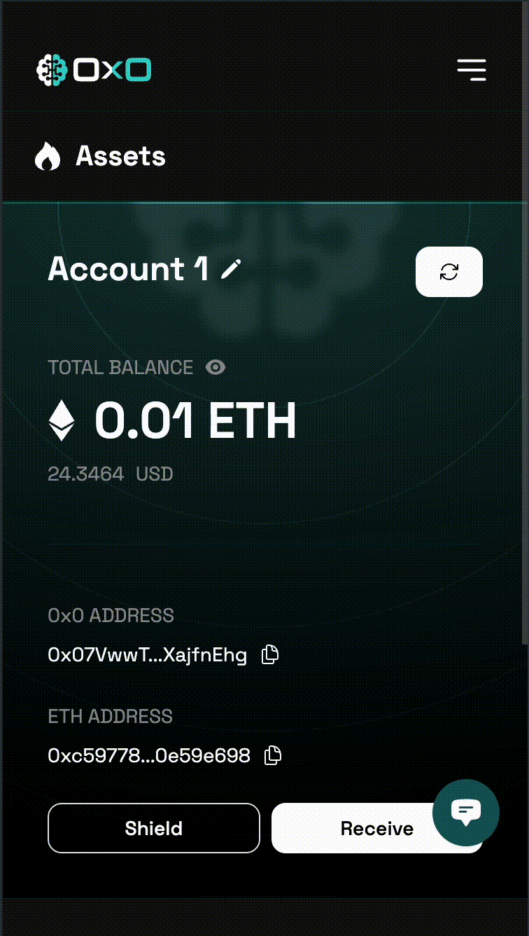 Shield Assets Example