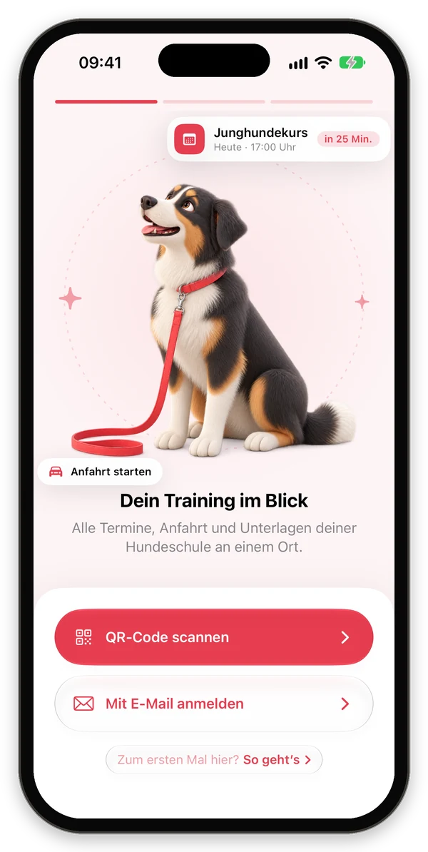 Willkommensbildschirm der 123Hundeschule App mit den Schaltflächen QR-Code scannen und Mit E-Mail anmelden