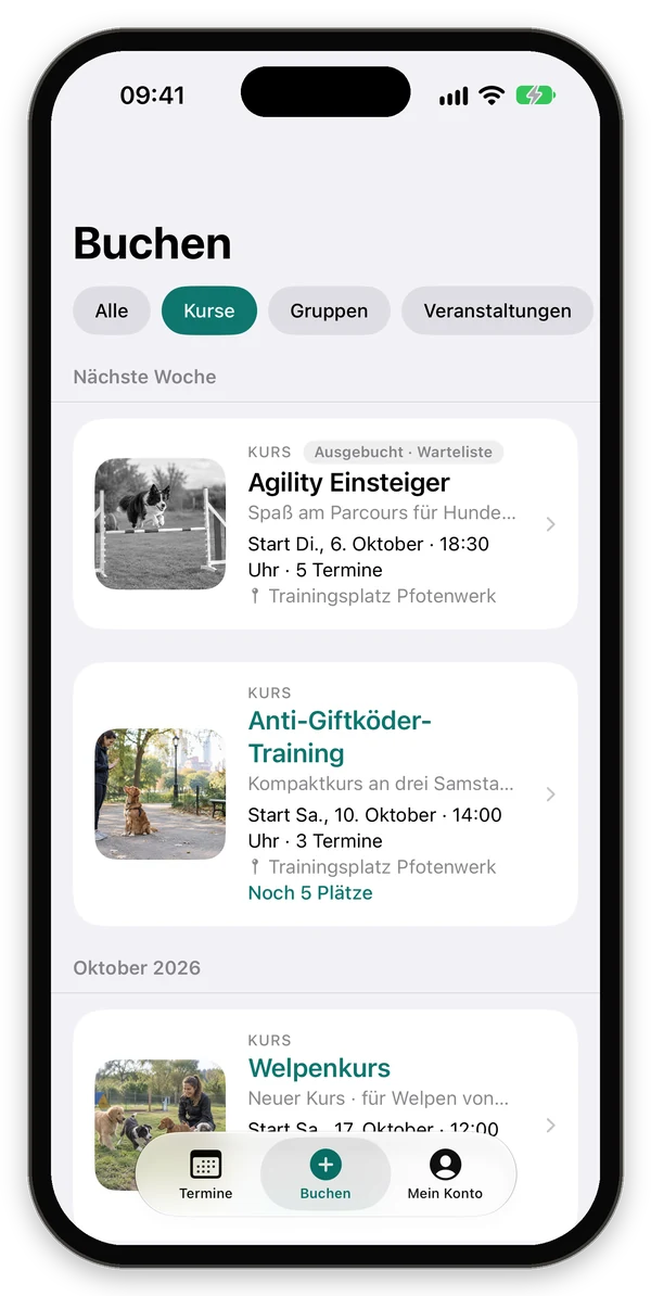 Liste der Kurse mit Foto, Startdatum, Ort und freien Plätzen