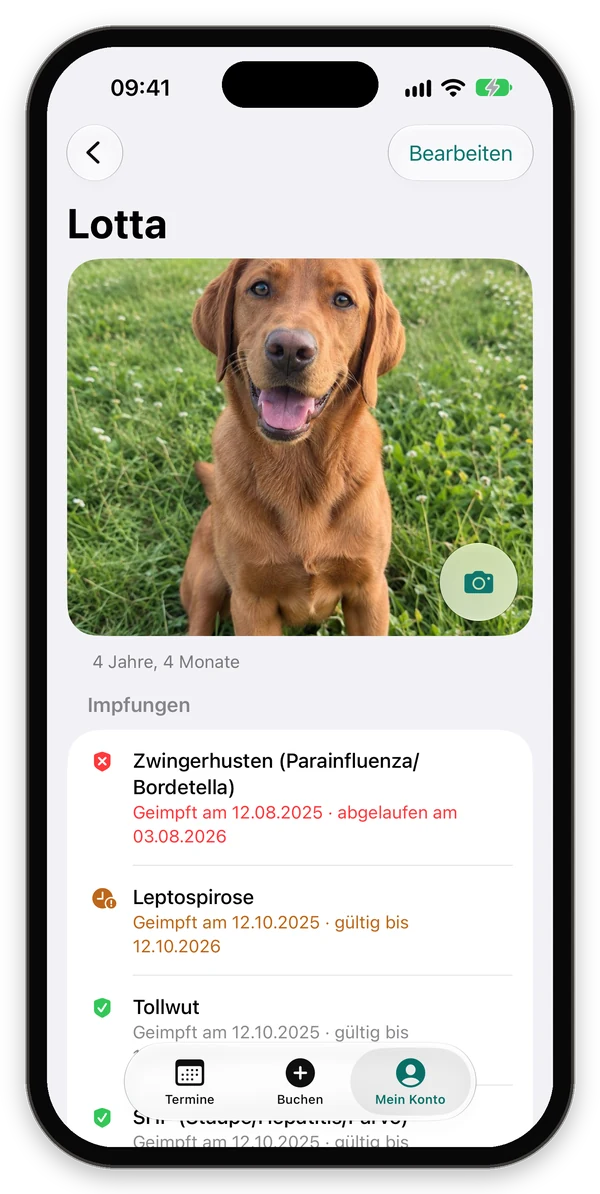 Hundeprofil von Lotta mit Foto und Impfungen