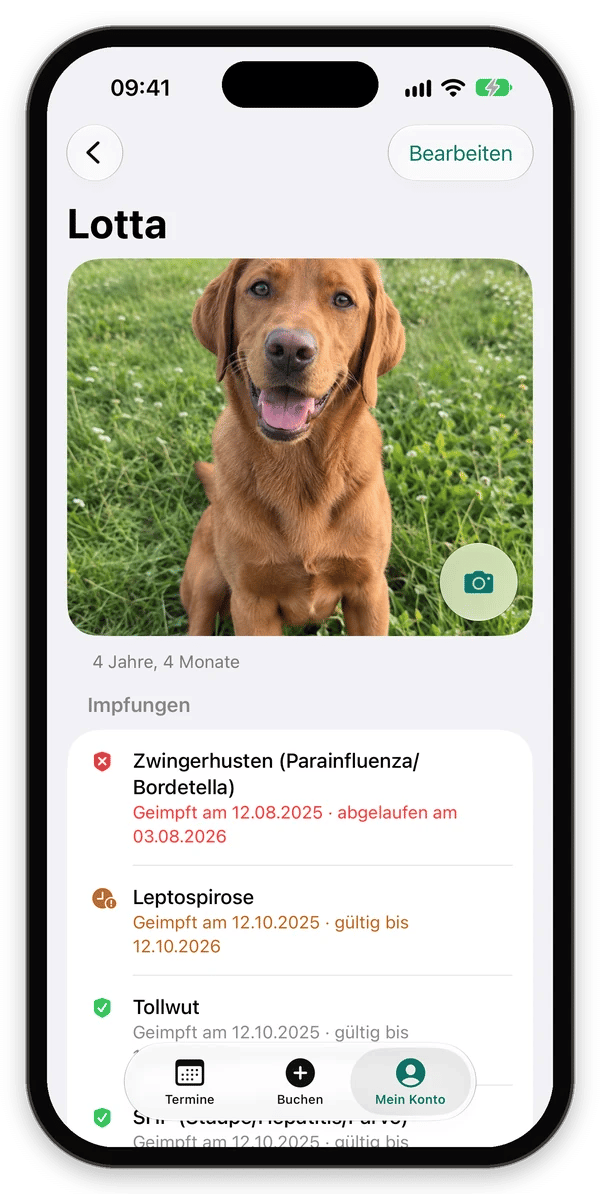 Hundeprofil von Lotta mit Foto und Impfungen