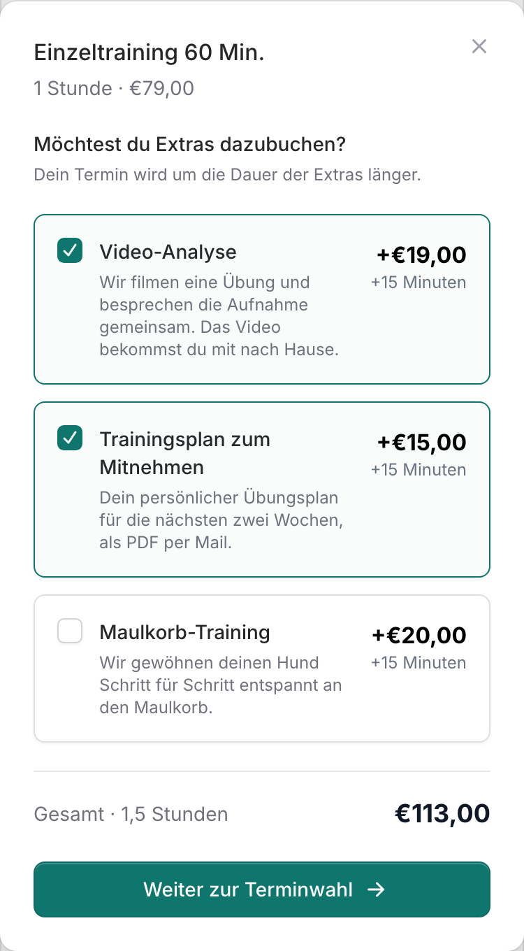 Fenster „Möchtest du Extras dazubuchen?“ mit Video-Analyse und Trainingsplan angehakt, Gesamt 1,5 Stunden für 113,00 €