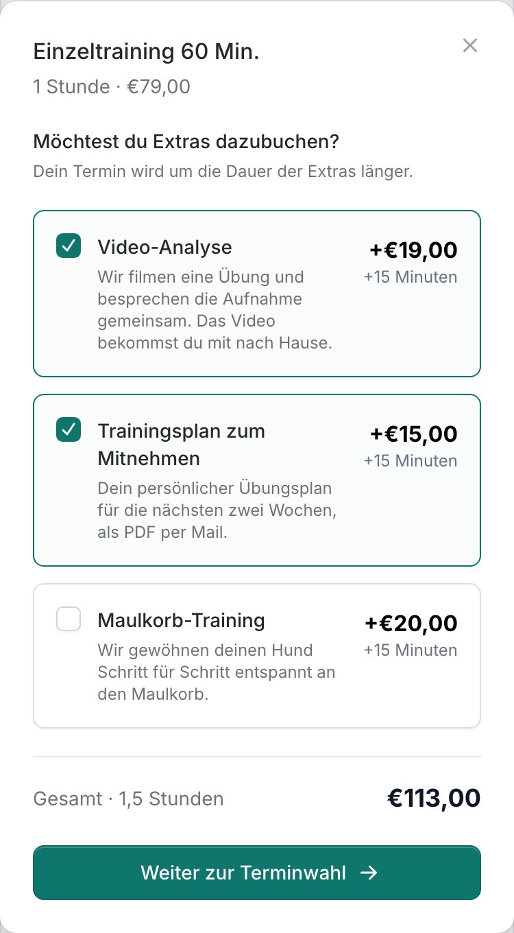 Fenster „Möchtest du Extras dazubuchen?“ mit Video-Analyse und Trainingsplan angehakt, Gesamt 1,5 Stunden für 113,00 €