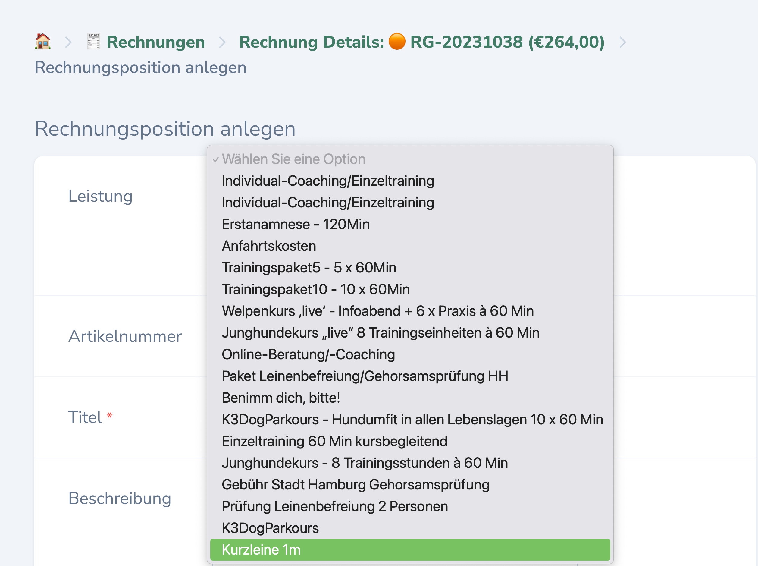 Rechnungspositionen hinzufügen