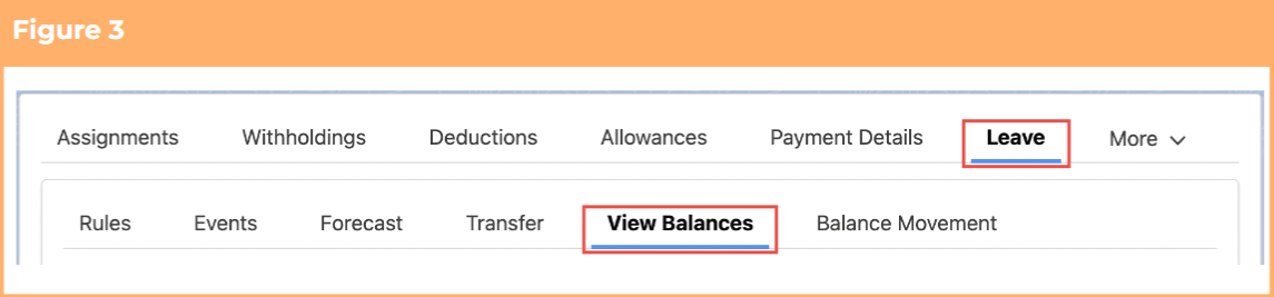 Screenshot from QRG View Leave Balances