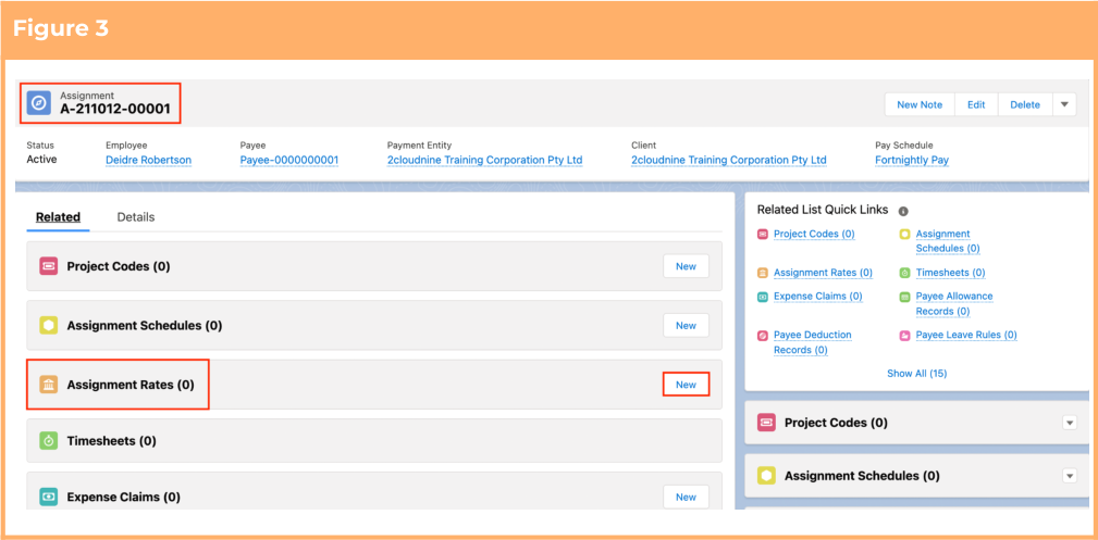 Screenshot from QRG Create an Assignment Rate record - Remuneration
