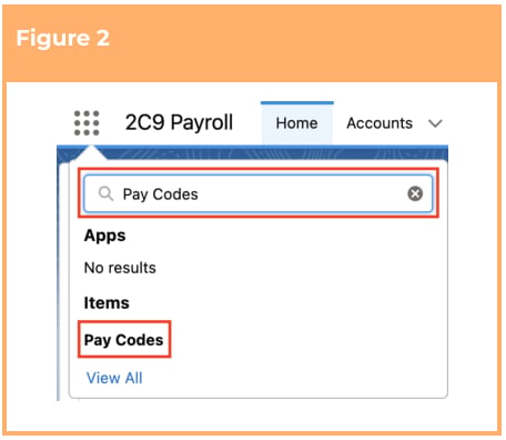 Screenshot from QRG Create Pay Codes - Expense Pay Codes