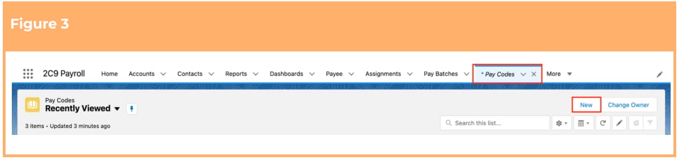 Screenshot from QRG Create Pay Codes - Expense Pay Codes