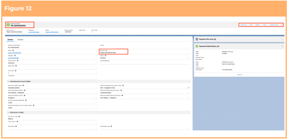 Screenshot from QRG Create Payment Details