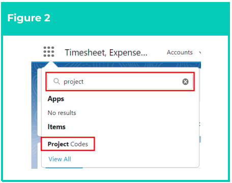 Screenshot from QRG Create Project Codes - Timesheet Activity