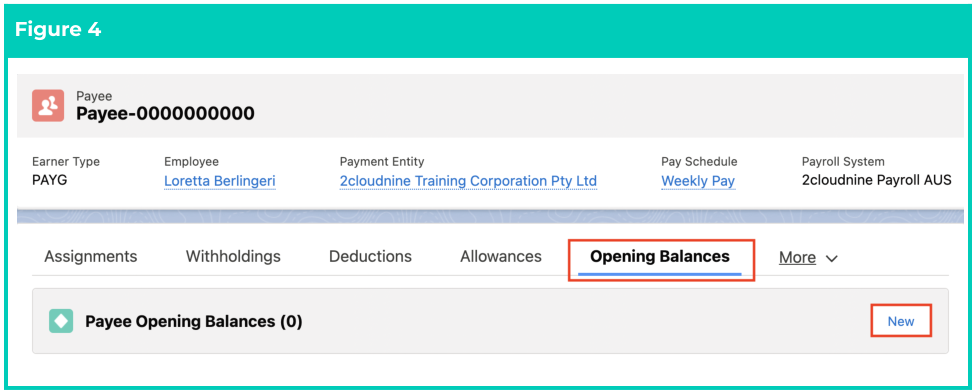 Screenshot from QRG Define Payee Opening Balances - Leave