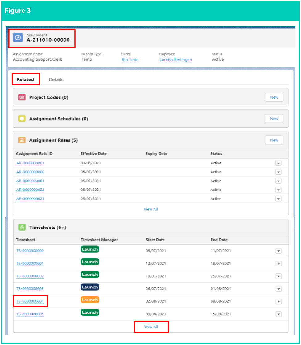 Screenshot from QRG Enter Timesheets as Payroll User