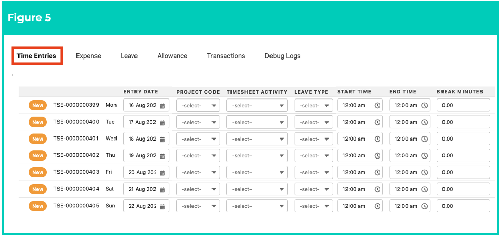 Screenshot from QRG Enter Timesheets as Payroll User