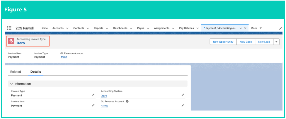 Screenshot from QRG Accounting Invoice Type