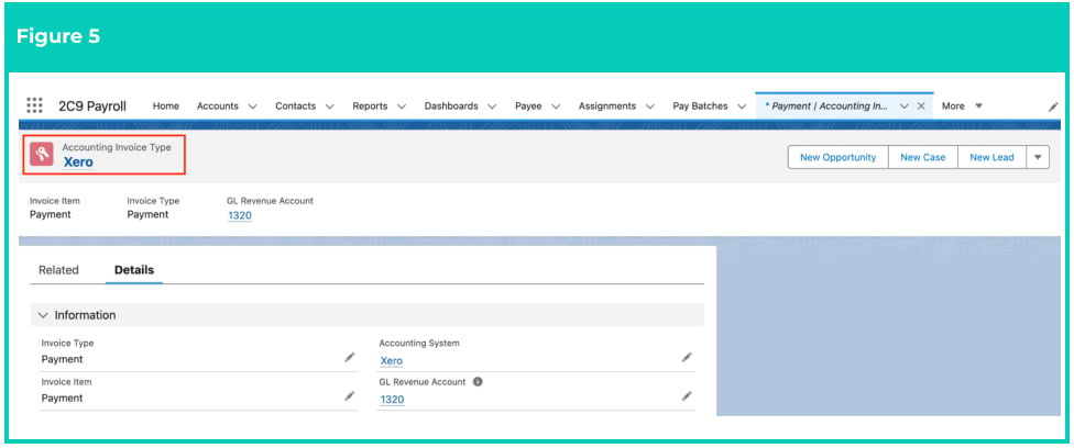 Screenshot from QRG Accounting Invoice Type