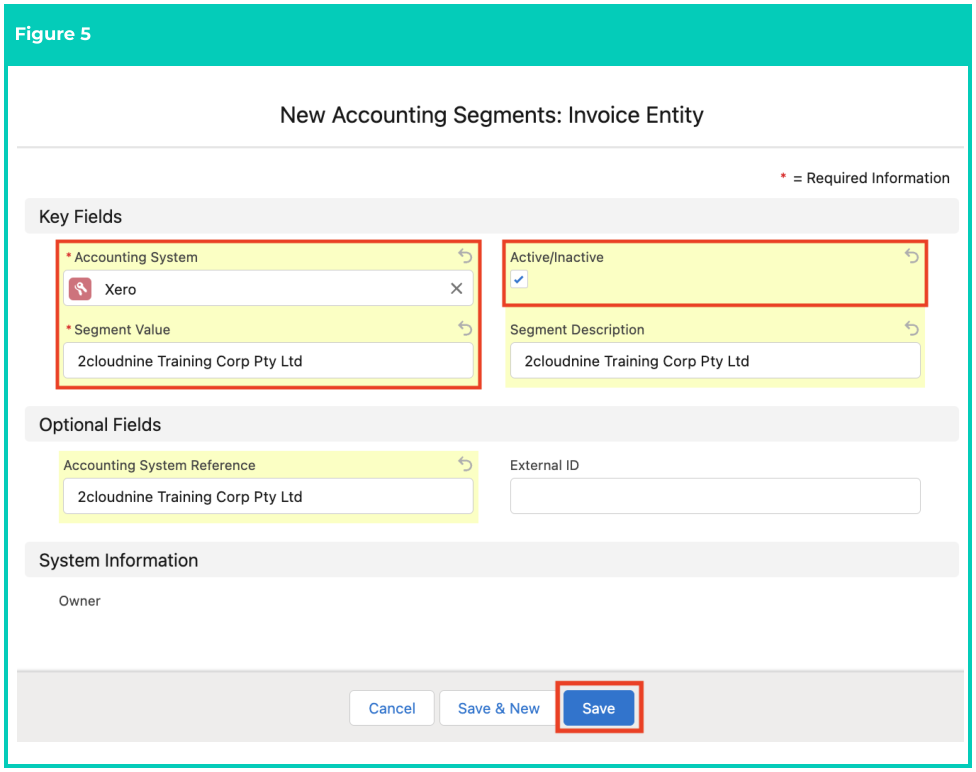 Screenshot from QRG Create Accounting Segments - Invoice Entity