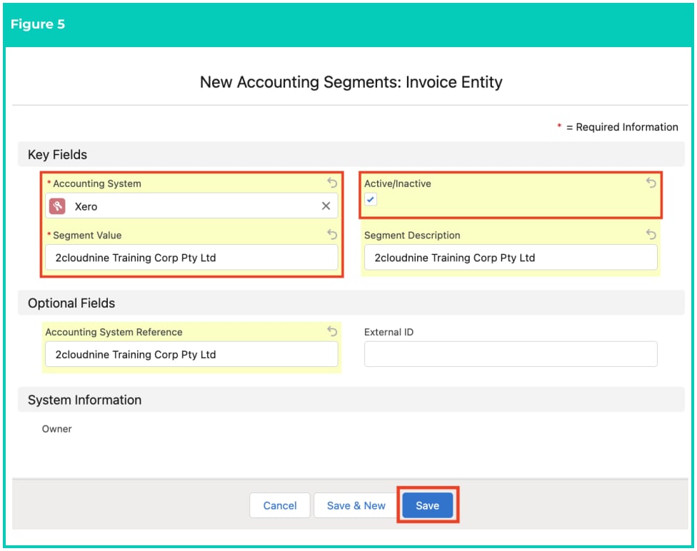 Screenshot from QRG Create Accounting Segments - Invoice Entity