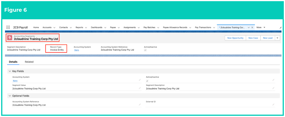 Screenshot from QRG Create Accounting Segments - Invoice Entity