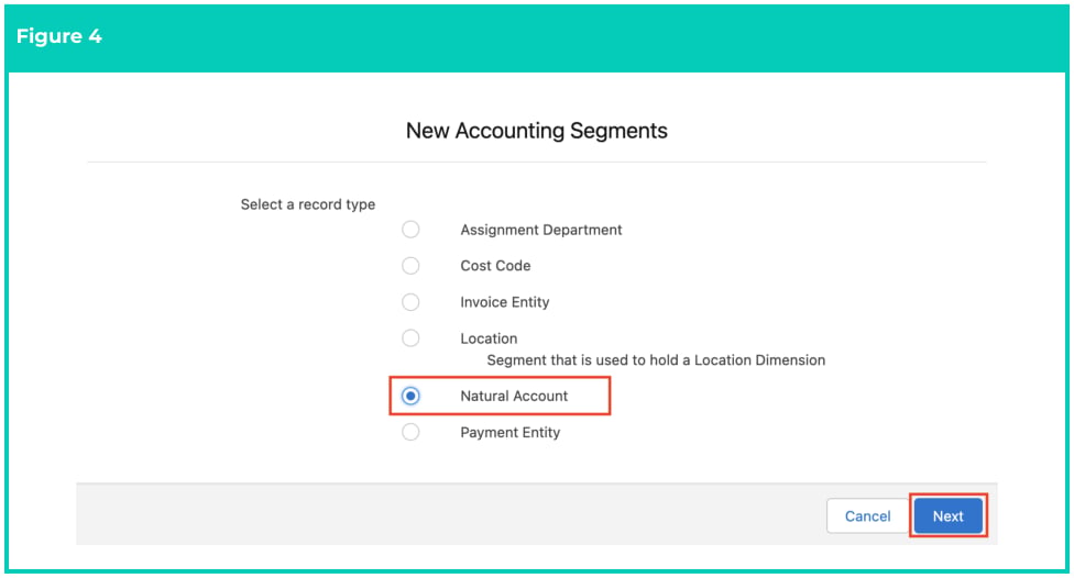 Screenshot from QRG Create Accounting Segments - Natural Account