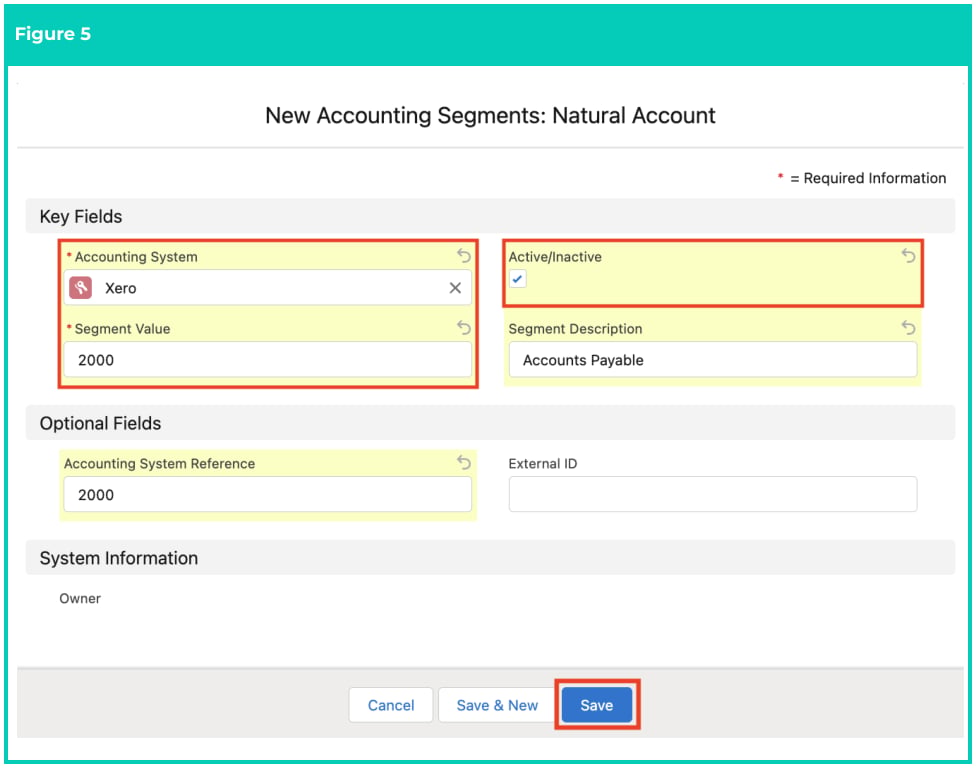 Screenshot from QRG Create Accounting Segments - Natural Account