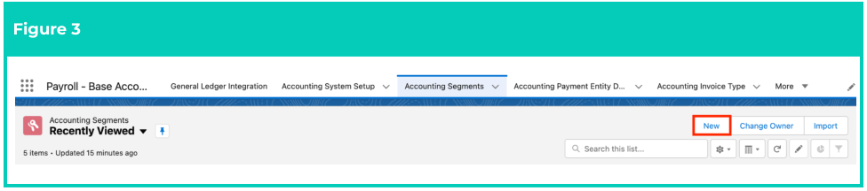 Screenshot from QRG Create Accounting Segments - Payment Entity