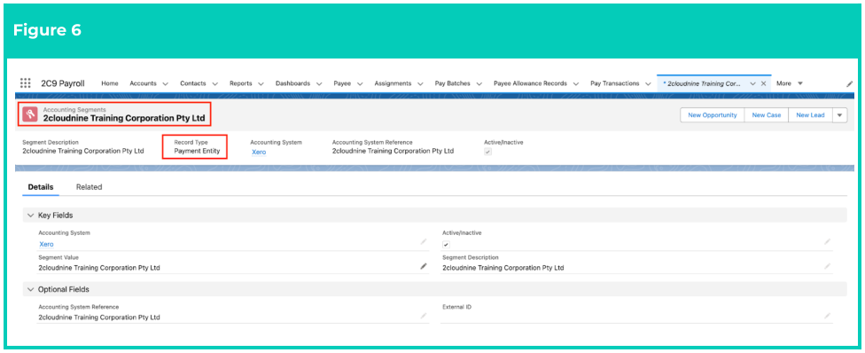 Screenshot from QRG Create Accounting Segments - Payment Entity