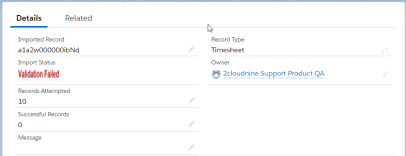 Timesheet imported record details tab