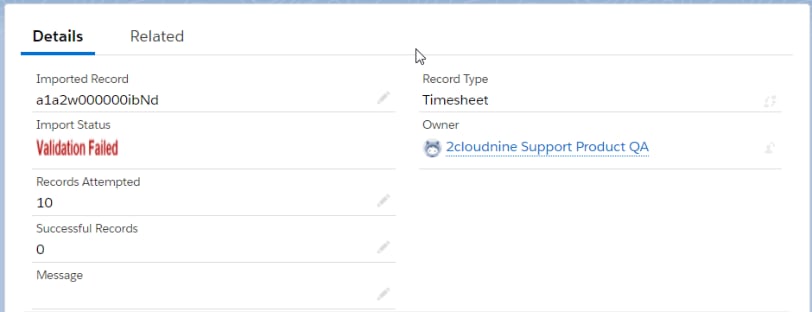 Timesheet imported record details tab