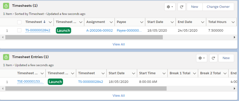 Timesheet and Timesheet Entries Lightning Web Component