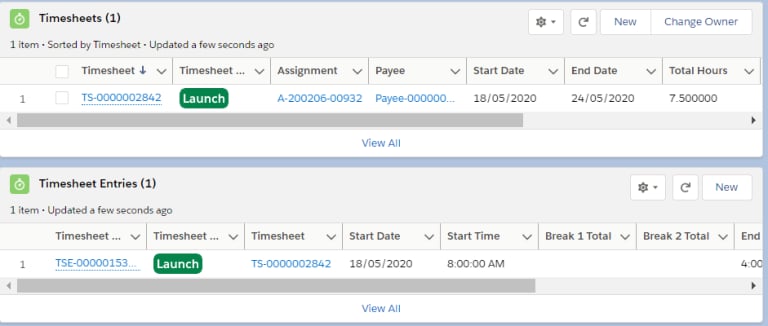 Timesheet and Timesheet Entries Lightning Web Component