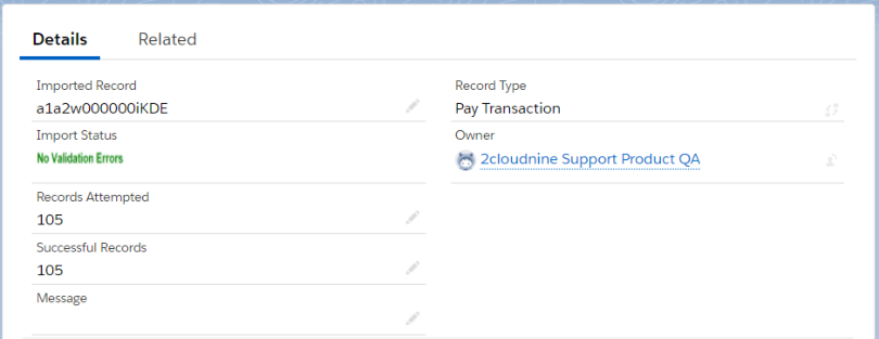 Pay Transaction imported record details