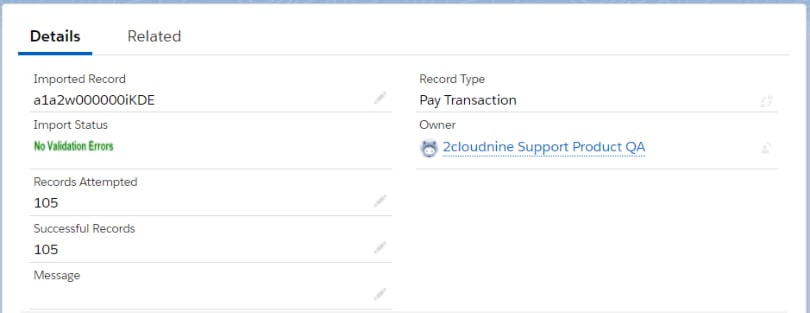 Pay Transaction imported record details