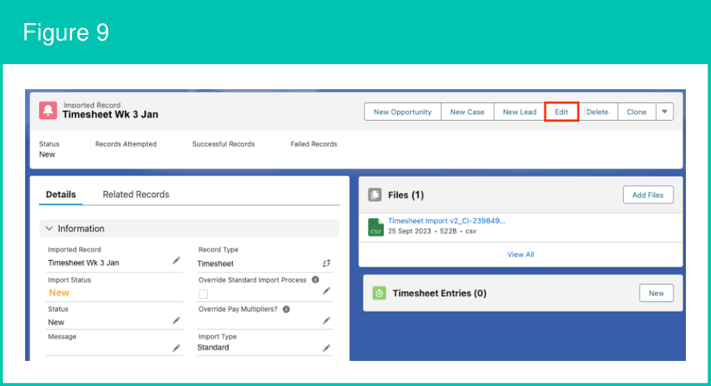 Figure 9: screenshot for QRG Integrated Import Tool - Upload and Process Import Files