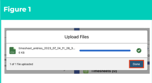 Screenshot 8 for QRG Integrated Import Tool - Upload and Process Import Files