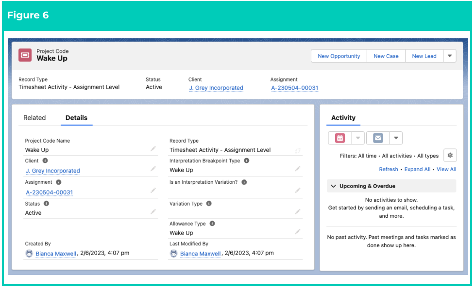 Screenshot from QRG Create Project Codes - Timesheet Activity (Assignment Level)