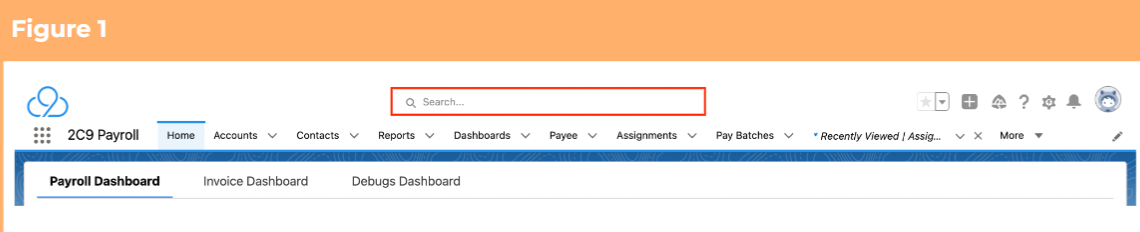 Screenshot from QRG View Leave Balances