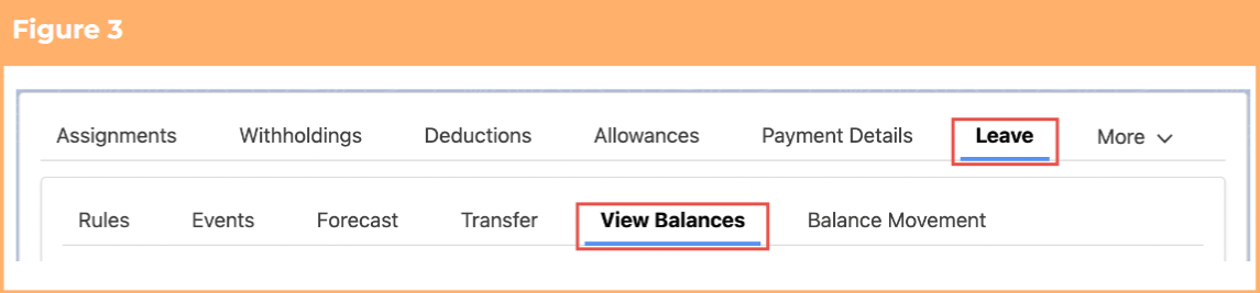 Screenshot from QRG View Leave Balances