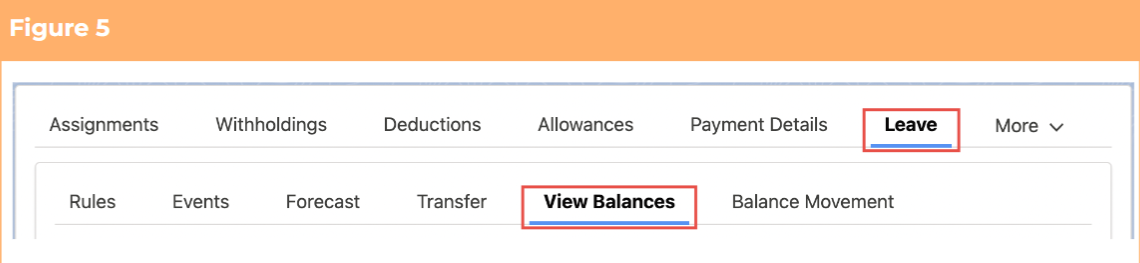 Screenshot from QRG View Leave Balances
