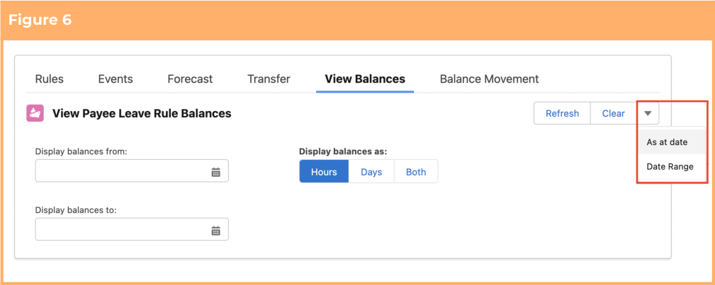 Screenshot from QRG View Leave Balances