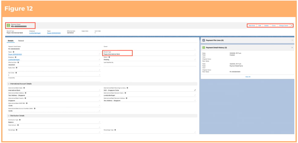 Screenshot from QRG Create Payment Details