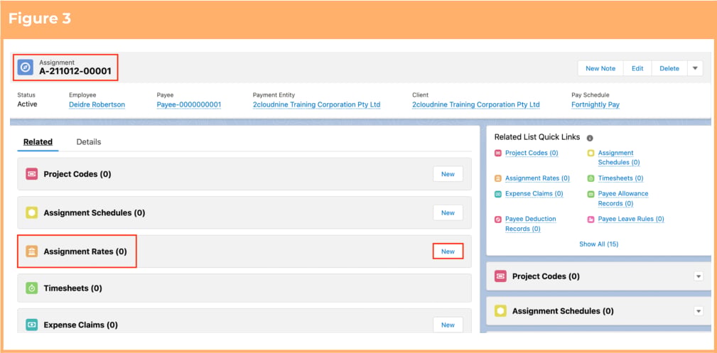 Screenshot from QRG Create an Assignment Rate record - Remuneration