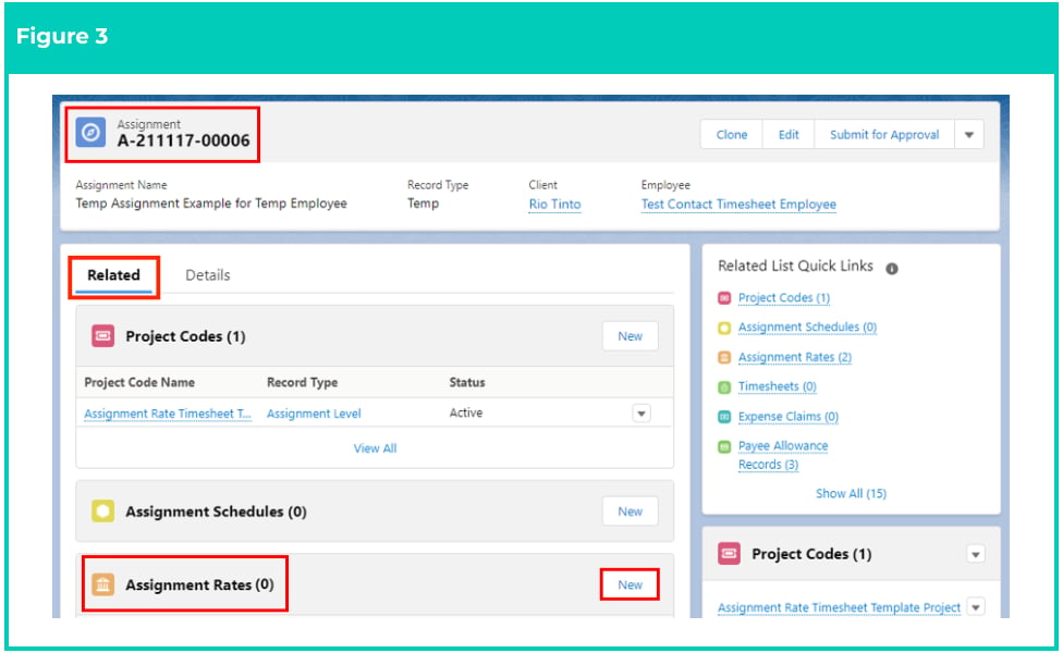 Screenshot from QRG Create an Assignment Rate record - Timesheet