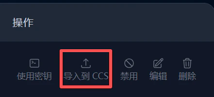 导入到 CCS 按钮