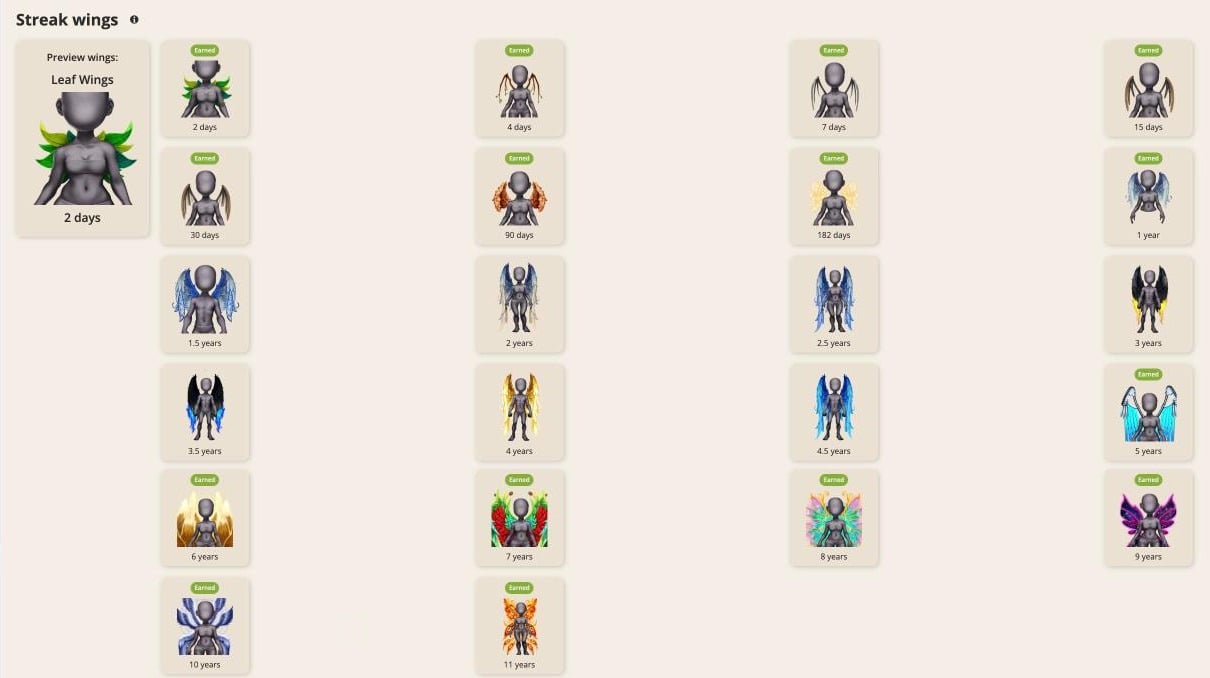 Every set of Streak Wings from 2 days to 11 years, with an Earned badge on the ones you own