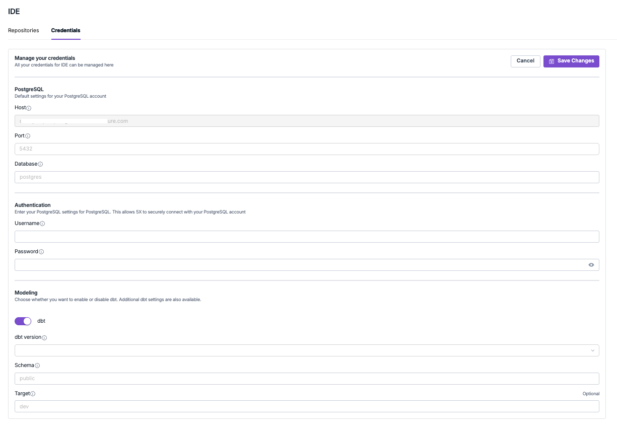 PostgreSQL IDE Credentials Setup