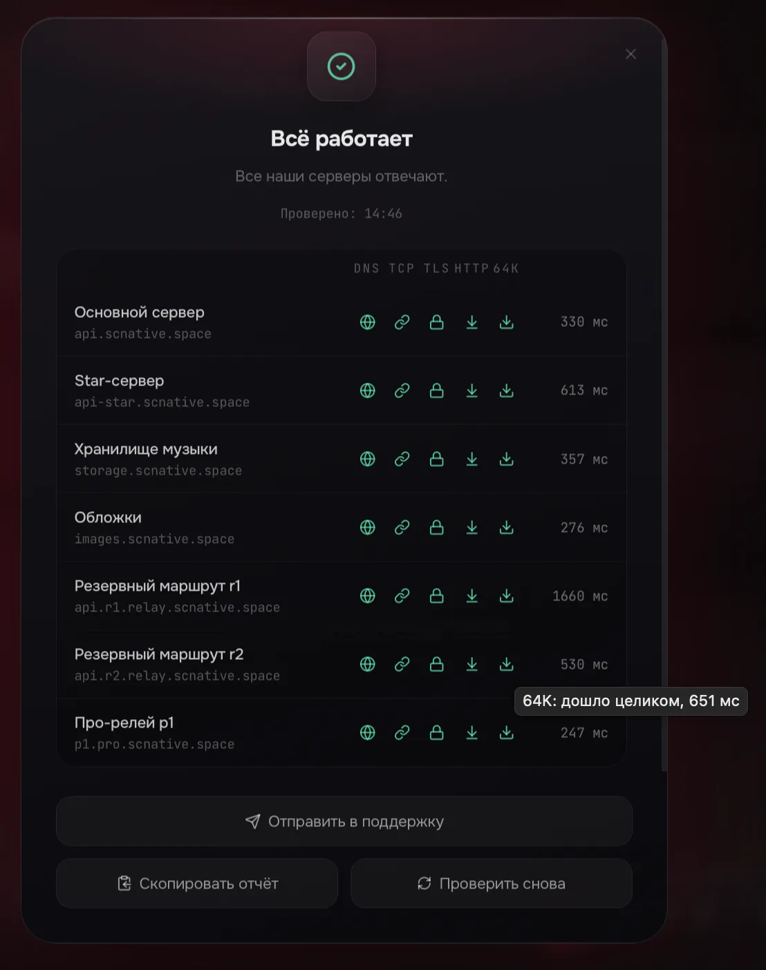 Окно Проверки сети: результат Всё работает, таблица серверов и кнопки Отправить в поддержку, Скопировать отчёт, Проверить снова