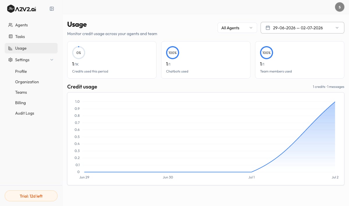 The Usage dashboard with the All Agents filter, date range picker, the Credits used, Chatbots used, and Team members used cards, and the Credit usage chart.