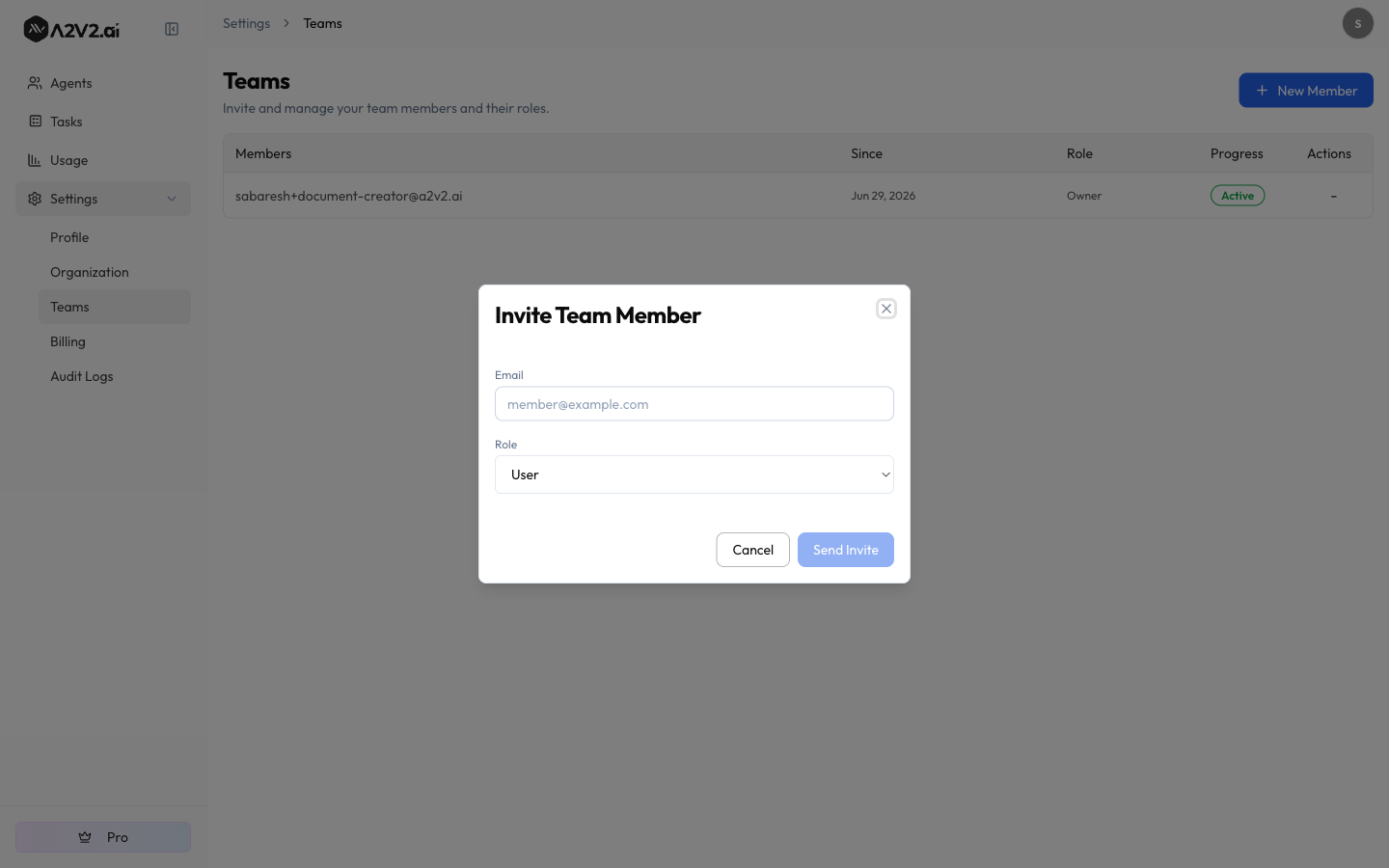 Invite Team Member dialog with an Email field and a Role selector