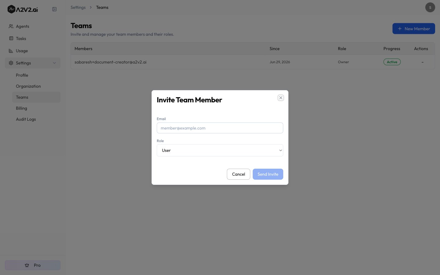 Invite Team Member dialog with an Email field and a Role selector